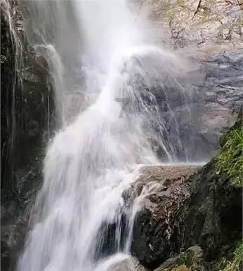 海之号角神秘海怪